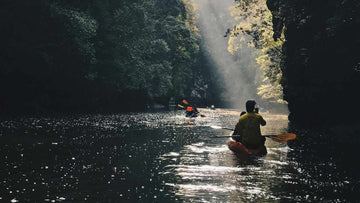 People Kayaking down a river surrounded by Green trees