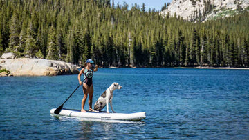 Women on lake Paddle Boarding with Dog